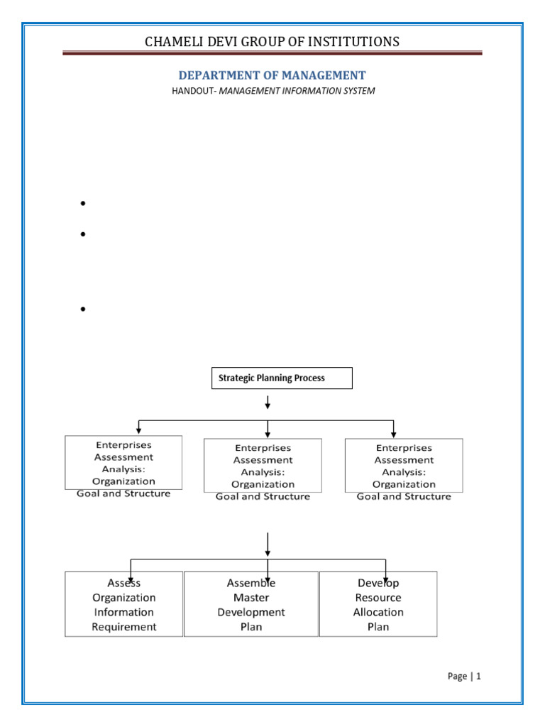MIS Planning and Implementation Guide | PDF | Management Information ...