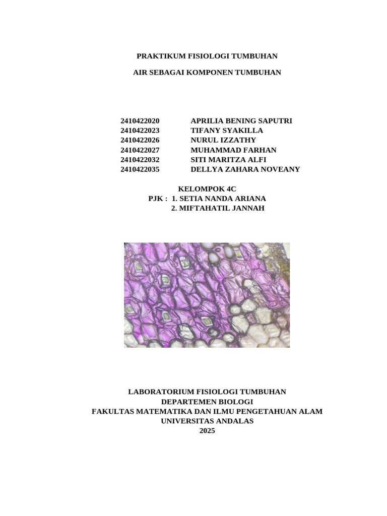 Peran Air dalam Fisiologi Tumbuhan | PDF