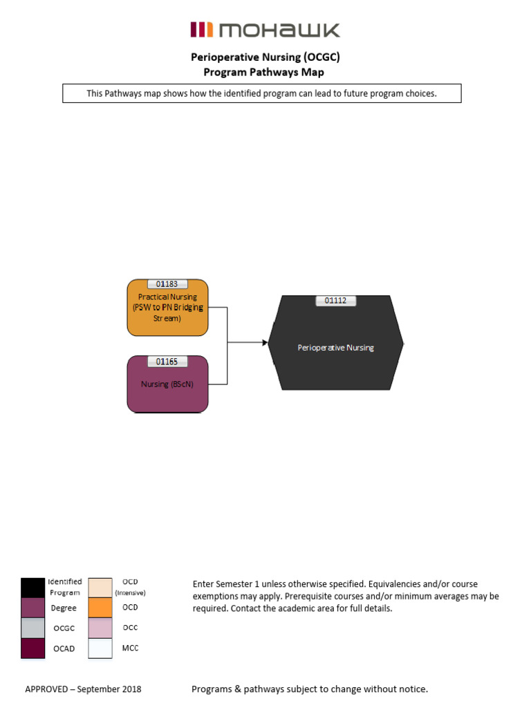 Perioperative Nursing Pathways Map | PDF