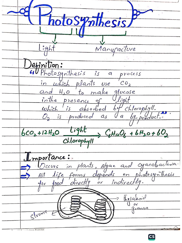 Photosynthesis Handwritten Notes 9th | PDF