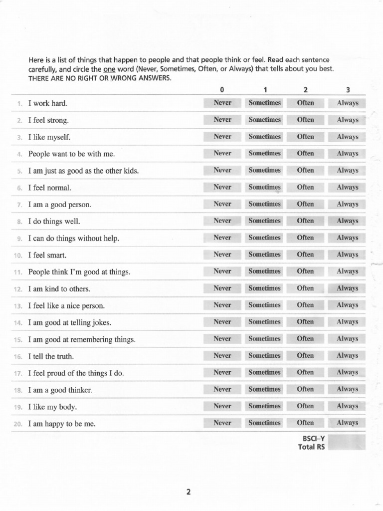 Beck Youth Inventory 1 | PDF