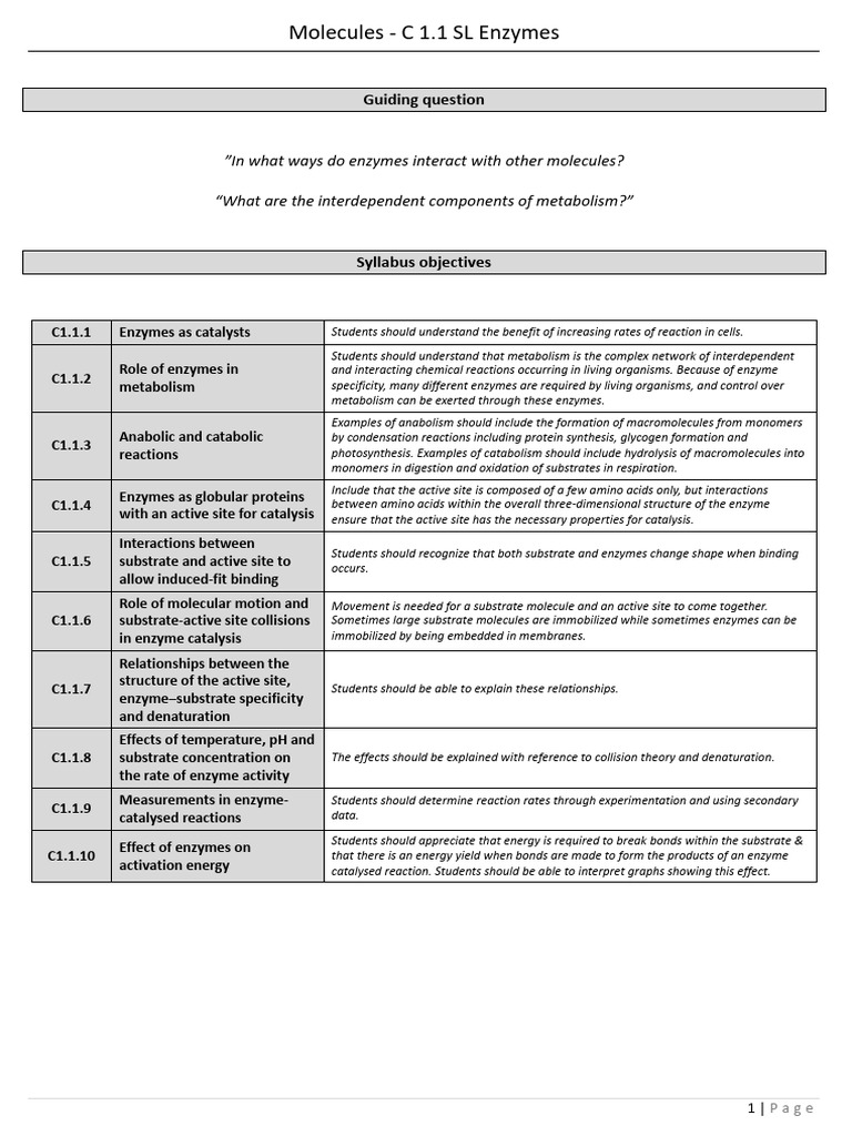 Enzymes and Metabolism: Key Concepts | PDF | Enzyme | Active Site