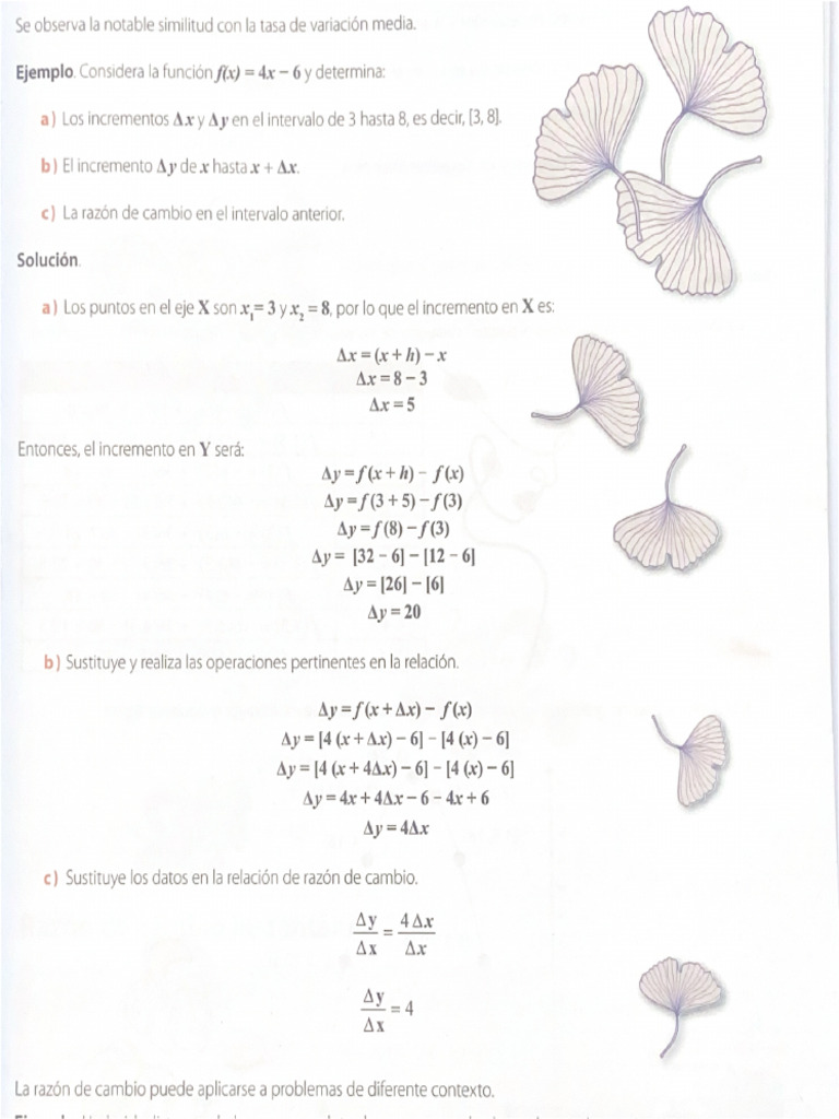 8.PM3 Deltax y | PDF