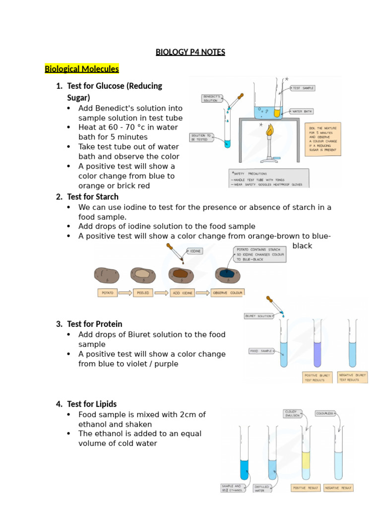 Biology p4 Notes 2 | PDF