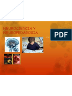 NEUROCIENCIA Y NEUROPEDAGOGIA