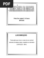 Biomecanica da Marcha