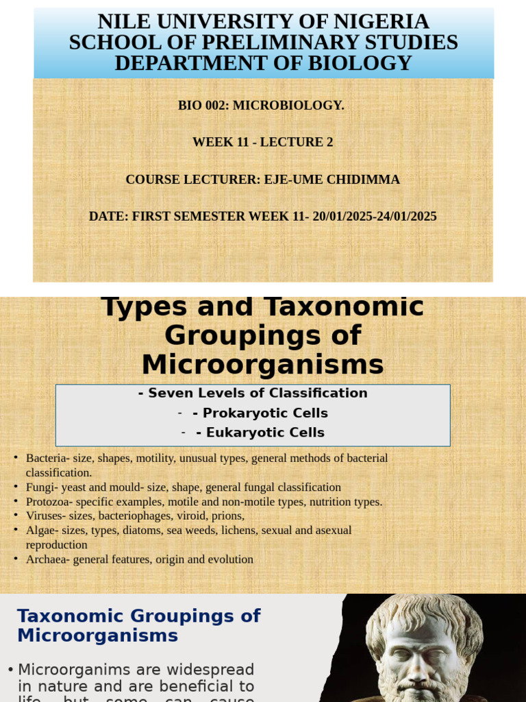 Microorganism Classification Overview | PDF | Virus | Archaea