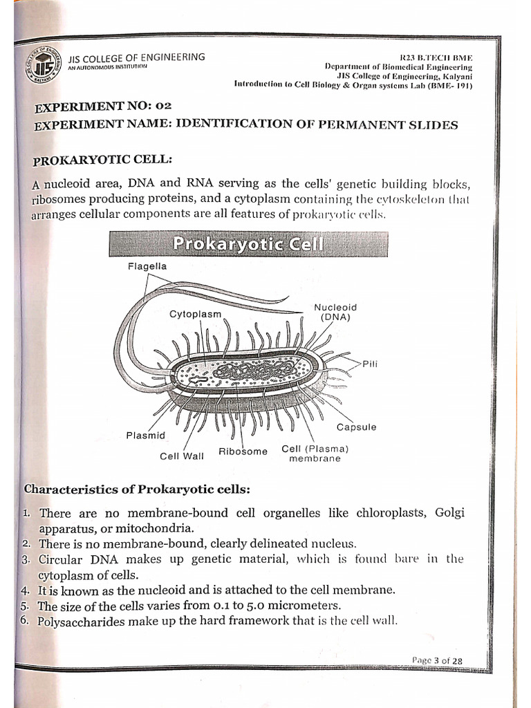 15 Oct (Experiment 1) Date of Submission - 22!10!2025 | PDF