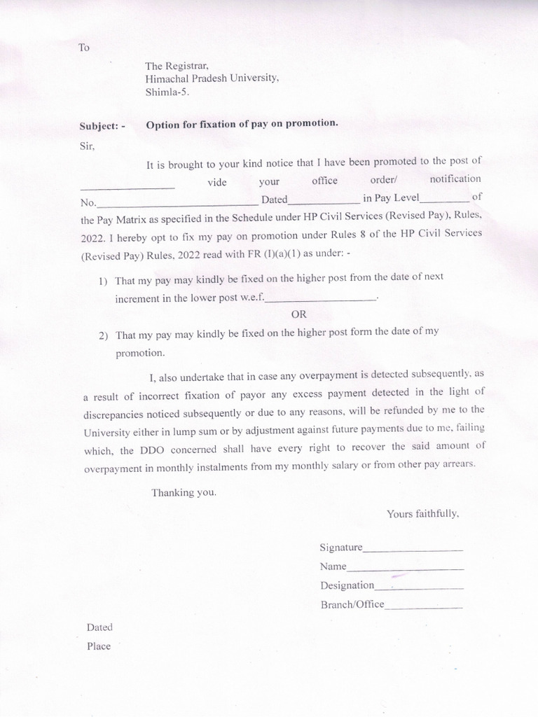 669b8a9f538d7pay Promotion | PDF