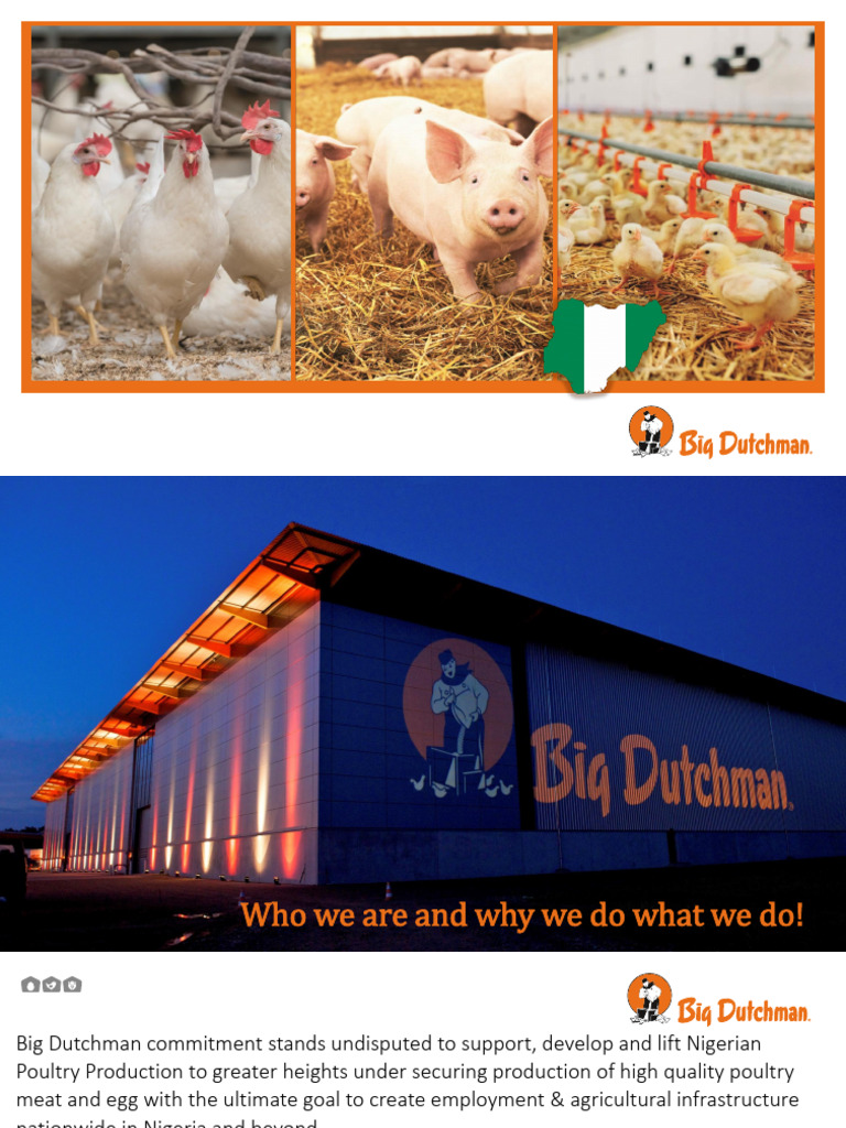 Big Dutchman: Elevating Nigeria's Poultry Industry | PDF | Farms ...