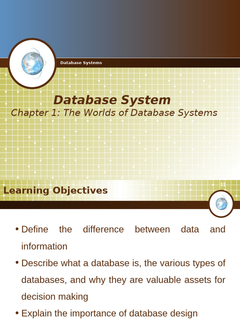 Introduction to Database Systems | PDF | Databases | Relational Model