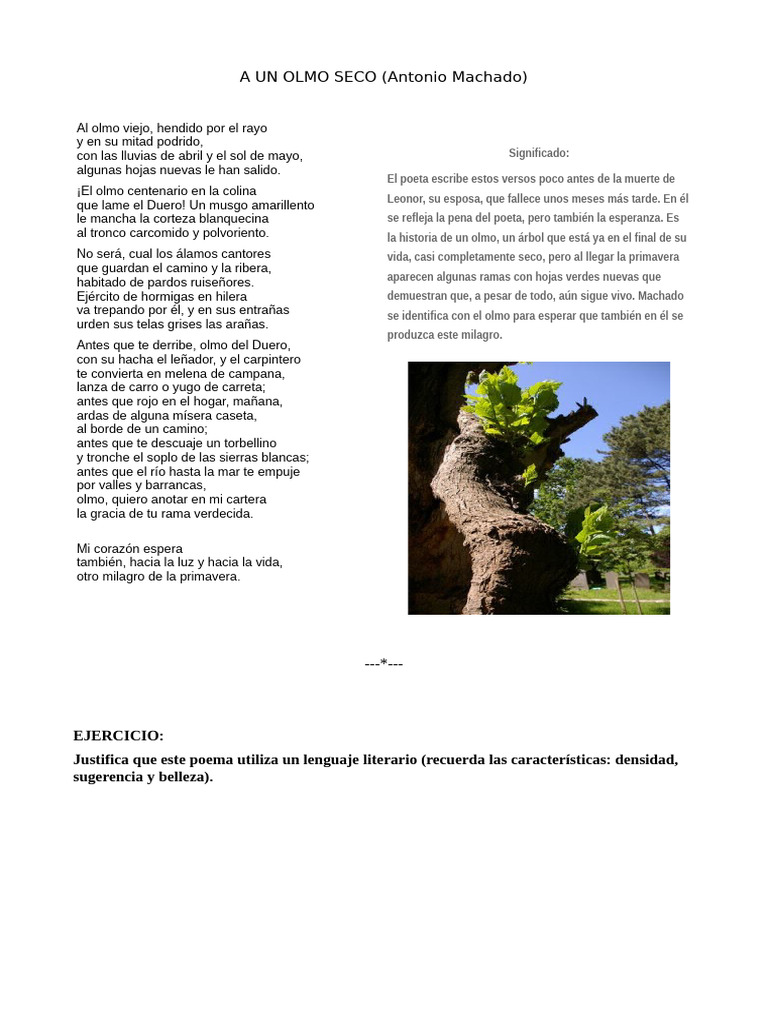Poema 
