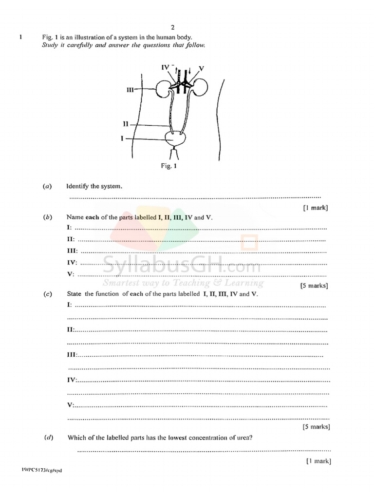 2019 Wassce PC Integrated Science 3 | PDF