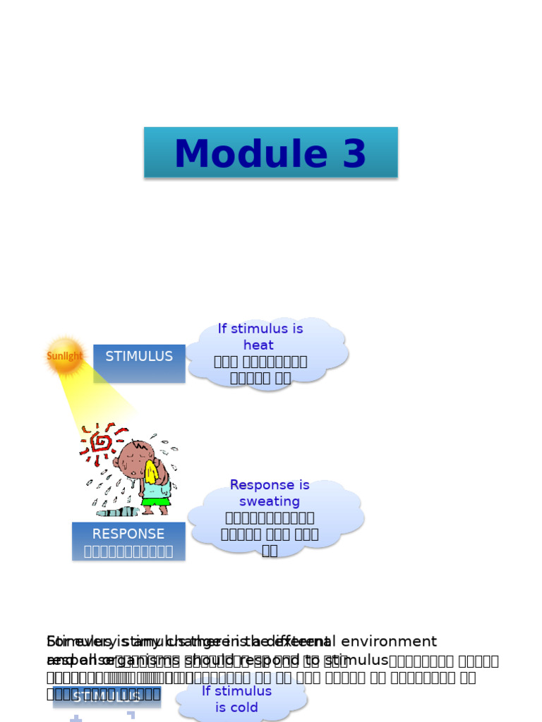 CH 7 Module 3 | PDF