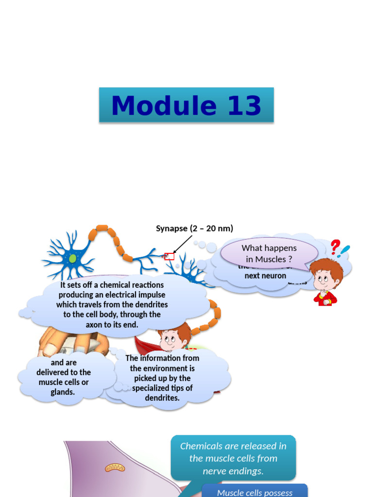 CH 7 Module 13 | PDF