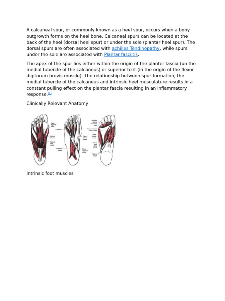 A Calcaneal Spur | PDF | Diseases And Disorders | Lower Limb Anatomy
