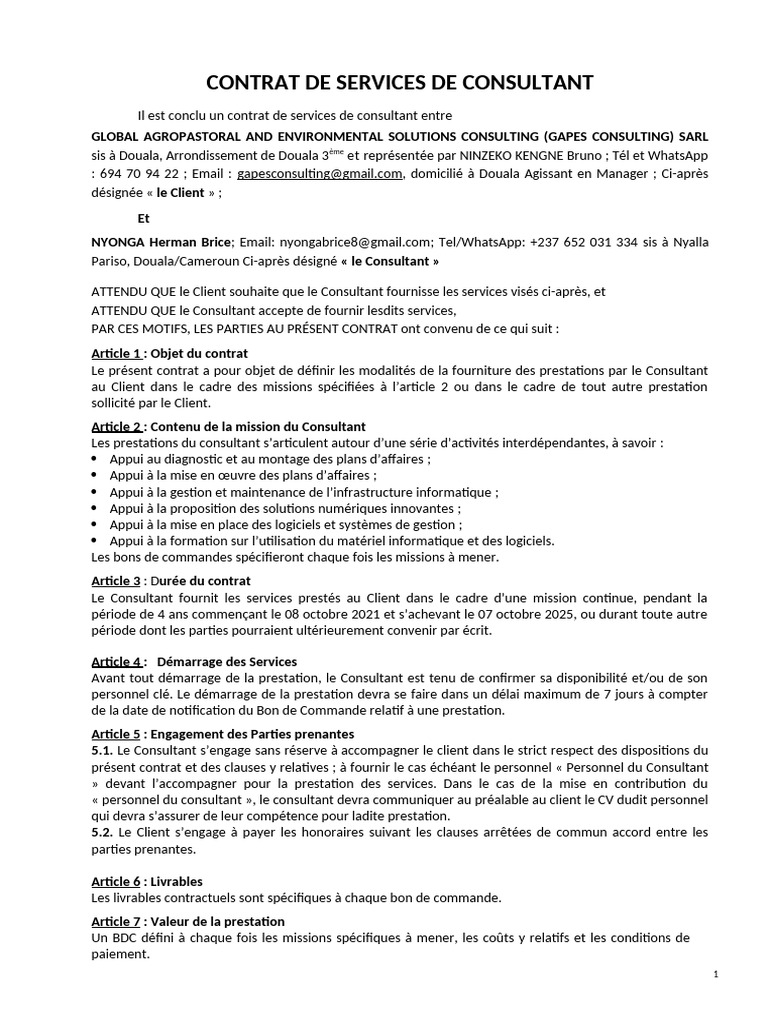 Contrat de services de consultant IT | PDF | Informatique