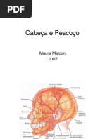 3oano.semio Olive 03. Cabeca e Pescoco 20.03.2007