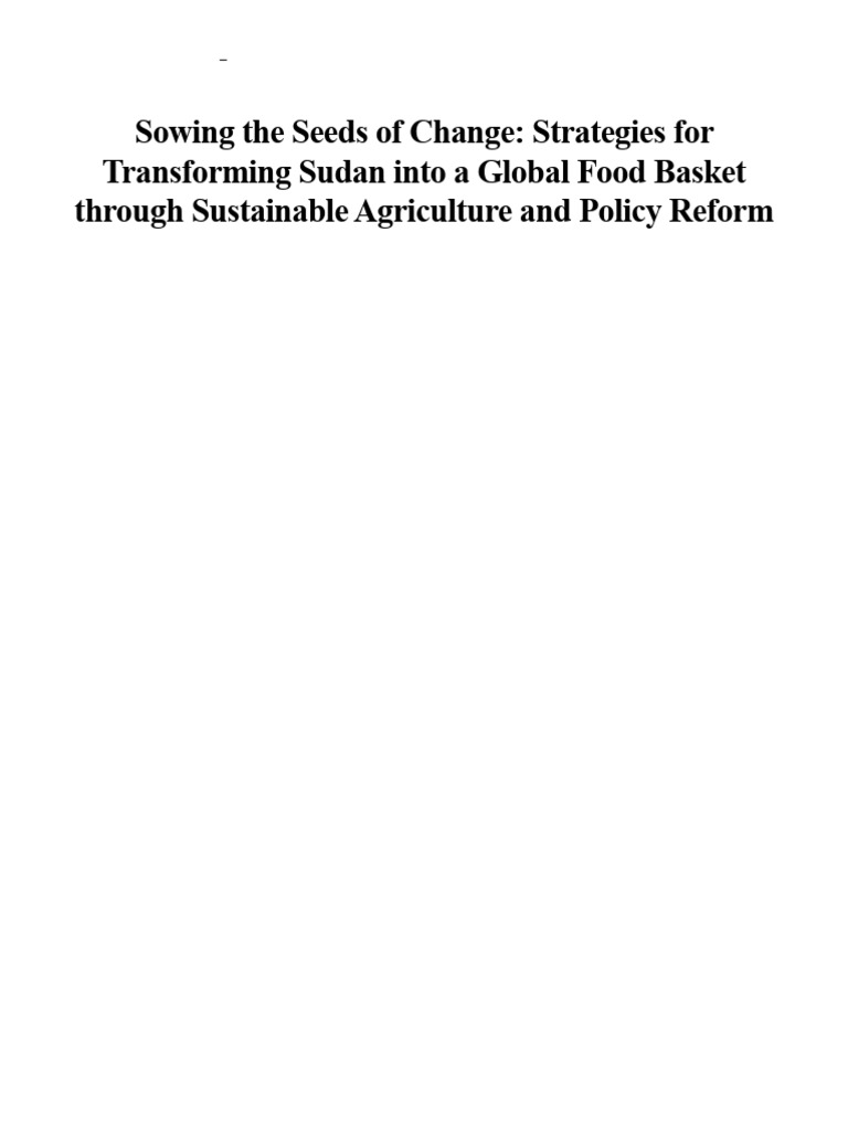 Transforming Sudan into a Food Basket | PDF | Agriculture | Sustainability