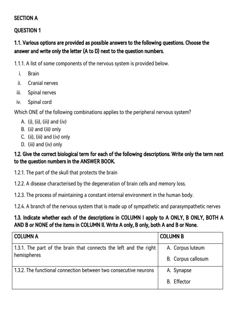 Nervous System Quiz Questions and Answers | PDF
