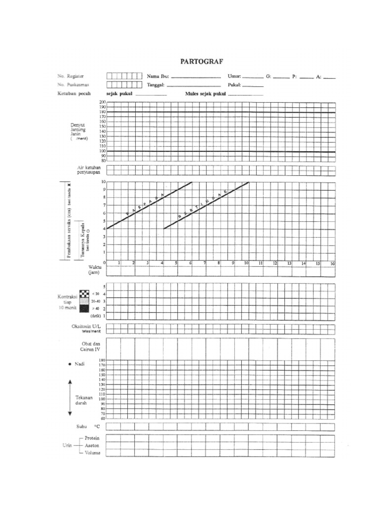 Format Partograf | PDF