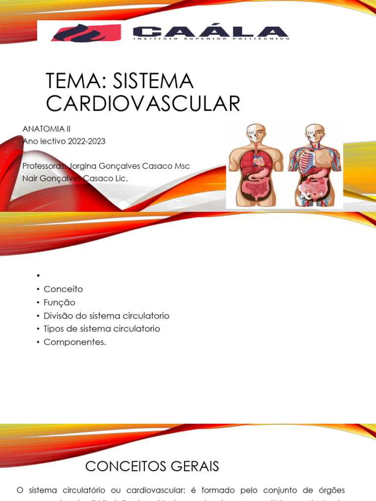 Anatomia do Sistema Cardiovascular | PDF | Sistema circulatório | Coração