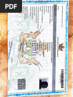 Applying for Third Number Plate in Zimbabwe | PDF | Vehicle ...