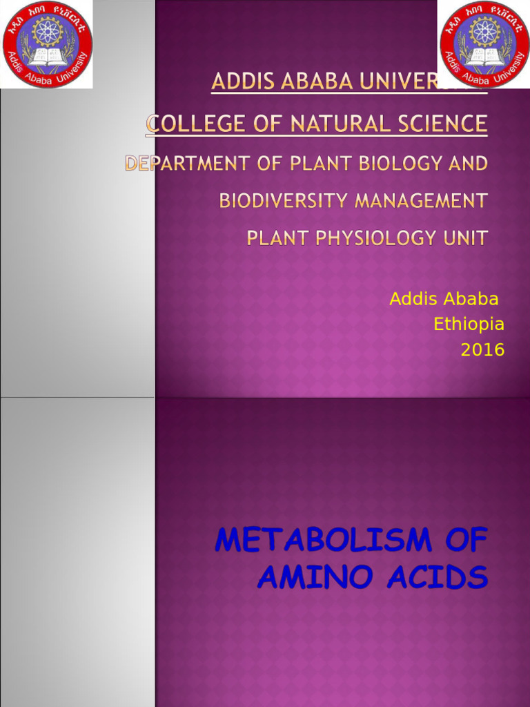 Amino Acid Metabolism Overview | PDF | Amino Acid | Transaminase