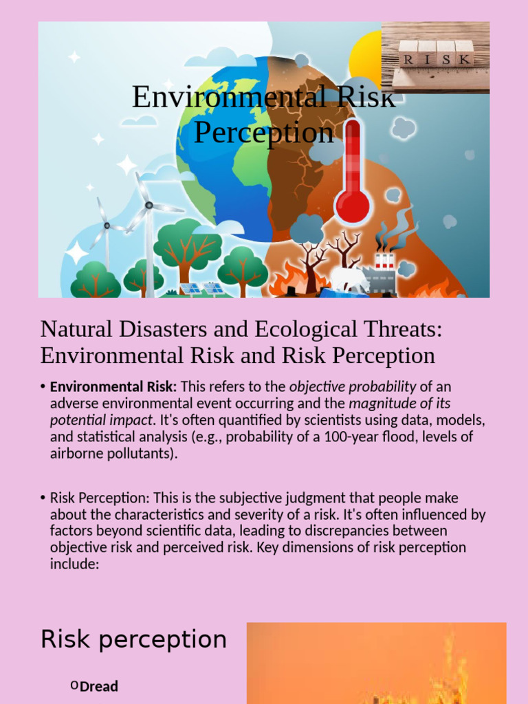 Understanding Environmental Risk Perception | PDF | Risk ...
