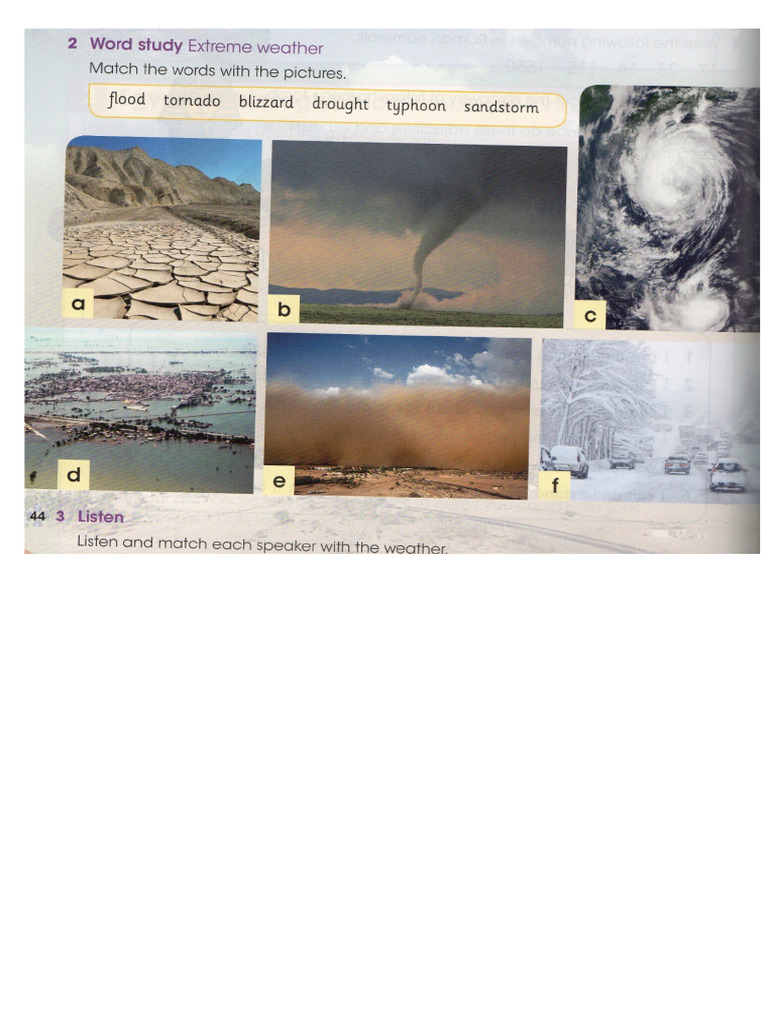 Extreme Weather Comprehension | PDF