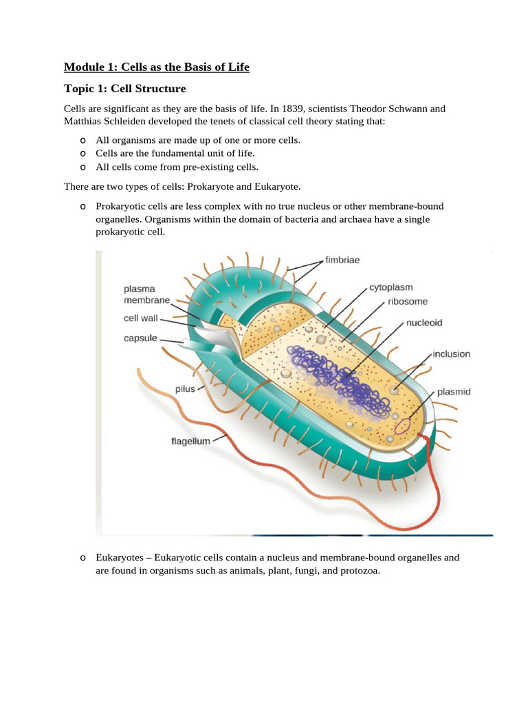 Understanding Cell Structure and Function | PDF | Cell Membrane | Cell ...