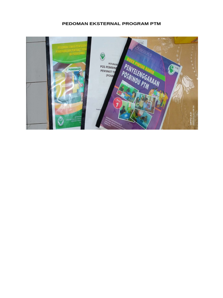 Pedoman Eksternal Program PTM | PDF