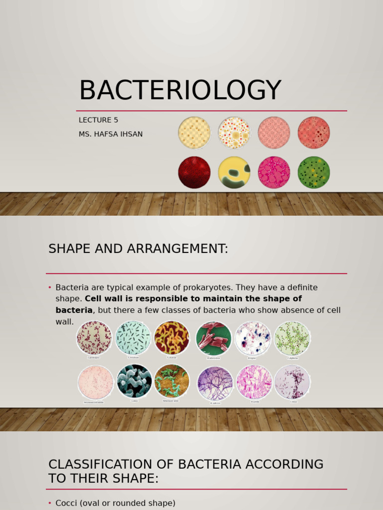 Lecture 5 Bacteriology | PDF | Bacteria | Microbiology
