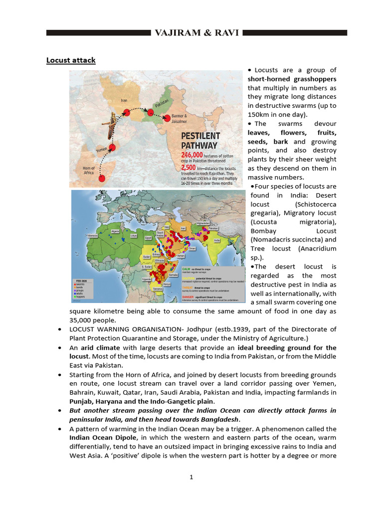 Locust Invasion Impact and Management | PDF