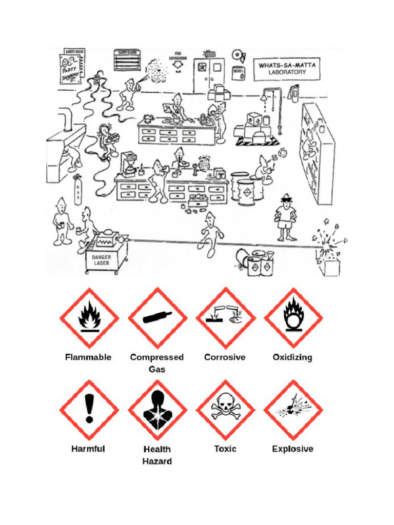 Lab Safety | PDF