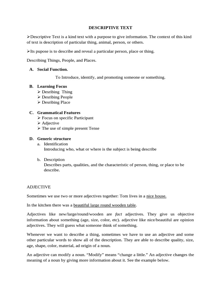 Descriptive Text | PDF | Adjective | Noun