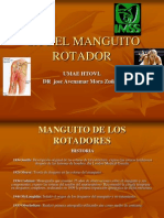 SX DEL MANGUITO ROTADOR Artroscopía