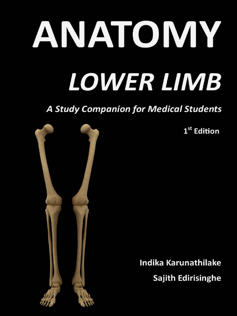 Lower Limb Anatomy Study Guide | PDF | Knee | Hip