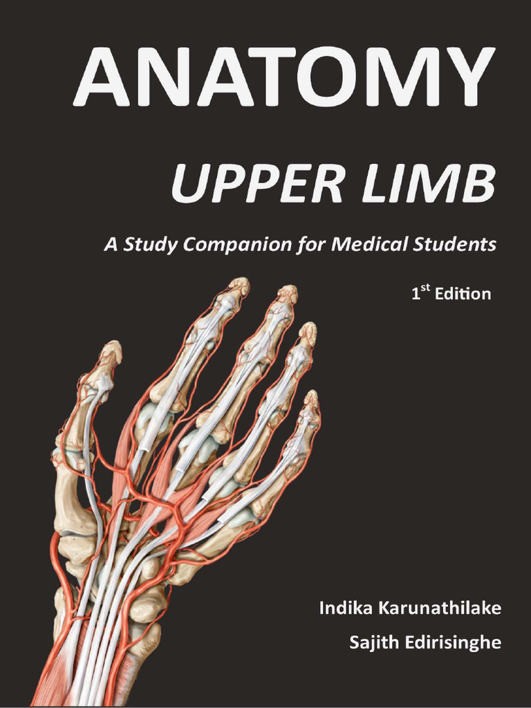 Upper Limb Anatomy Study Guide | PDF | Thumb | Hand
