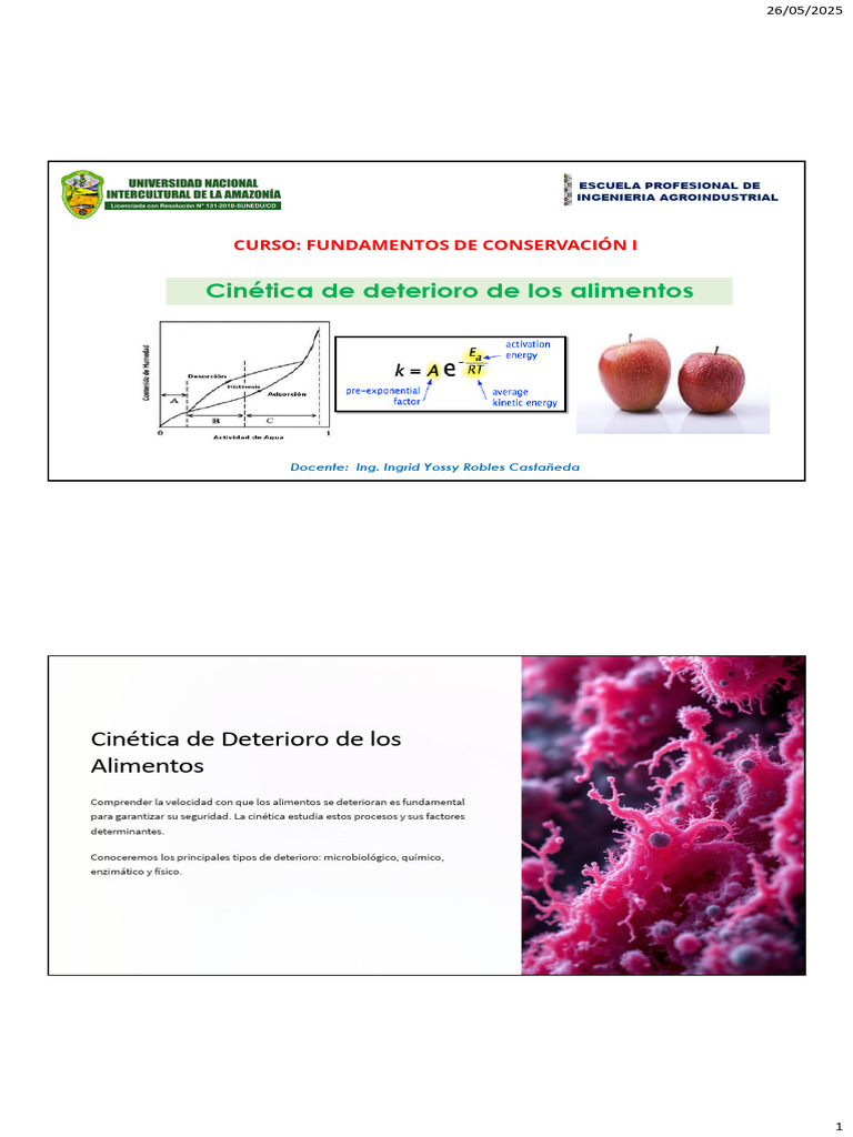 Cinética del Deterioro de Alimentos | PDF | Cinética química | Alimentos