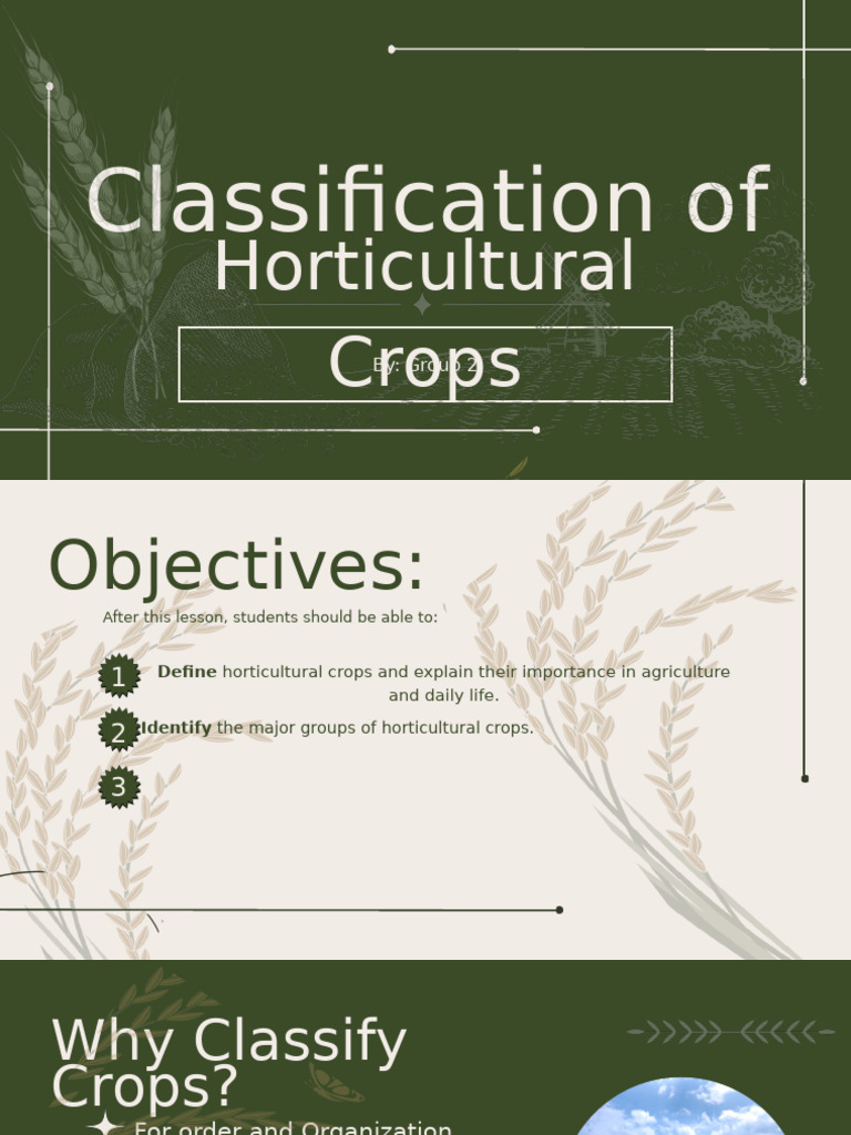 Horticultural Crop Classification Guide | PDF | Fruit | Plants