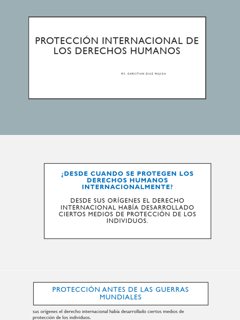 Historia de la Protección Internacional de Derechos Humanos | PDF ...