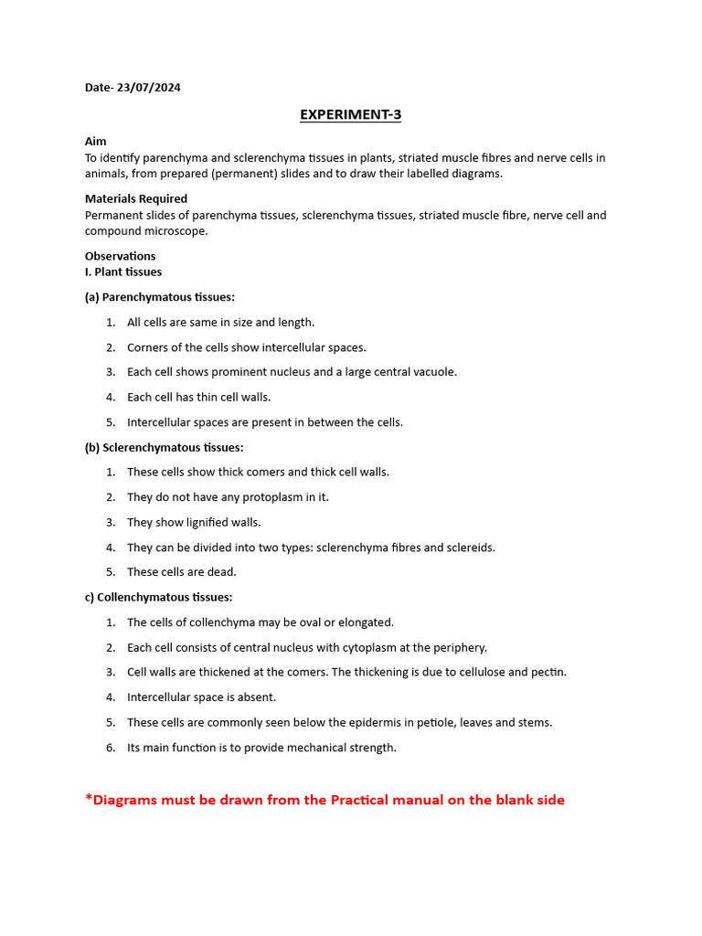 Assignment Experiment3 20240723195504 | PDF