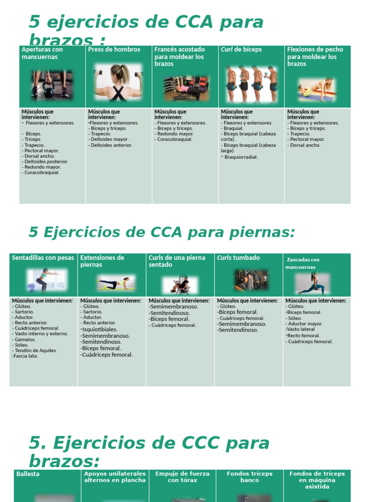 Ejercicios - CCC & Cca-Extremidades Inf.-Sup. | PDF | Anatomía humana ...