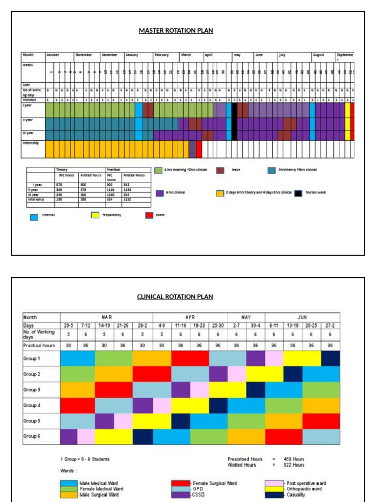 Master and Clinical Chart Plan | PDF