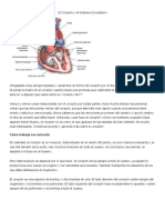 El Corazon y El Sistema Circulatorio