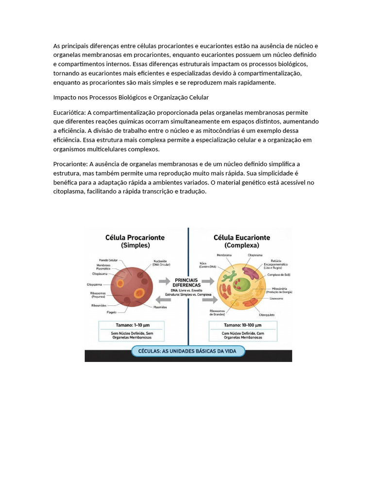As Principais Diferenças Entre Células Procariontes e Eucariontes | PDF