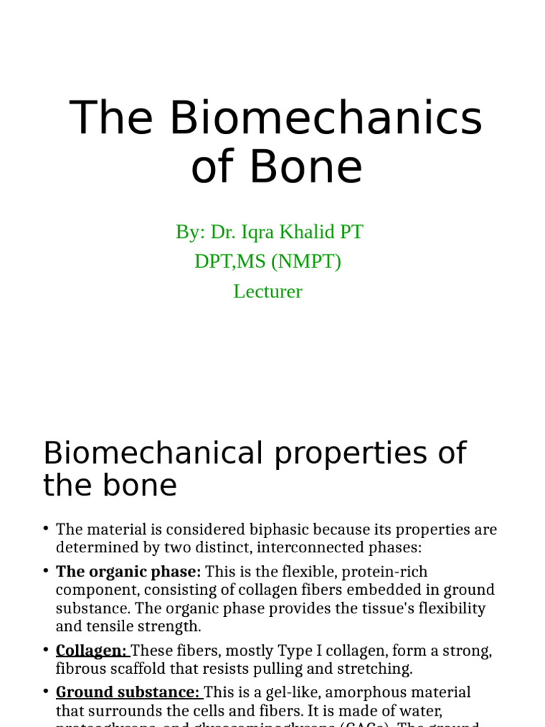 Biomechanics of Bone-3 | PDF | Deformation (Engineering) | Bone