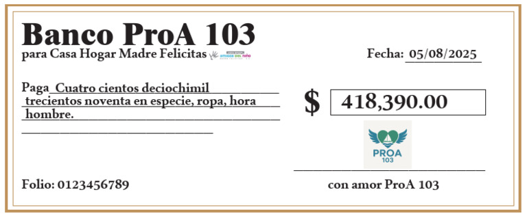 Cheque Pro A 103 | PDF