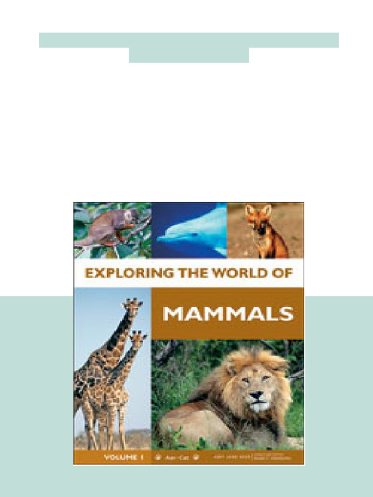 Sub Pop Records News: NEWS, image size:768x1024